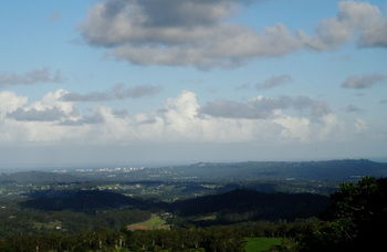 Treetops Accommodation Montville - Lismore Accommodation 63