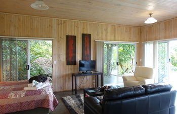 Treetops Accommodation Montville - Lismore Accommodation 64