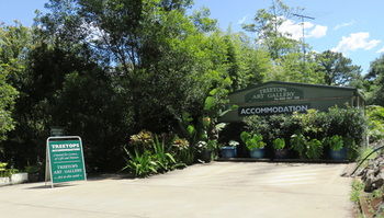 Treetops Accommodation Montville - Lismore Accommodation 67