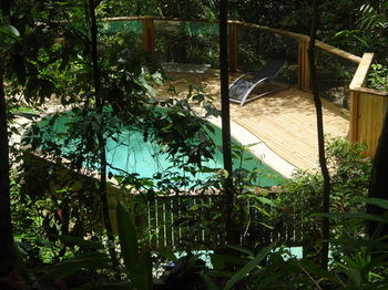 Treetops Accommodation Montville - Lismore Accommodation 74