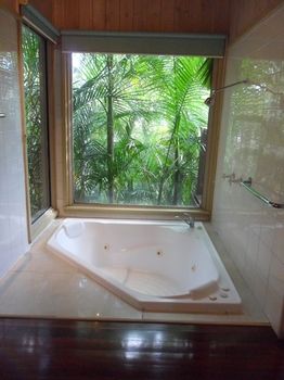 Treetops Accommodation Montville - Lismore Accommodation 84