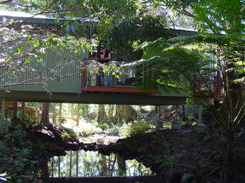 Treetops Accommodation Montville - Lismore Accommodation 87