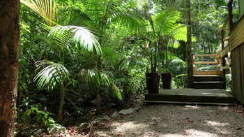 Treetops Accommodation Montville - Lismore Accommodation 89