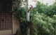 Verona Guest House - thumb 7
