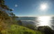 Birchgrove Apartments - thumb 17