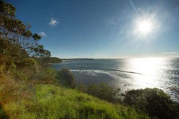 Birchgrove Apartments - Lismore Accommodation 17
