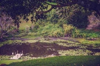 Allara Homestead - Lismore Accommodation 5