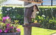 Allara Homestead - thumb 12