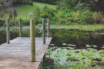 Allara Homestead - Lismore Accommodation 14