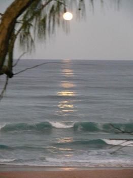 Andari - Lismore Accommodation 2