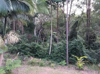 Mapleton Cabins & Caravan Park - Lismore Accommodation 27