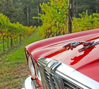 Valley Farm Vineyard Cottages - Lismore Accommodation 1