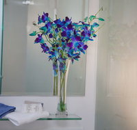 Grand Hotel Wyong - Lismore Accommodation