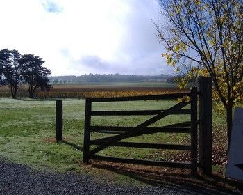 Yering Farm Wines - Lismore Accommodation 10