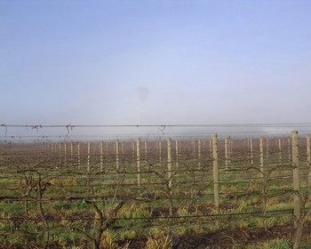 Yering Farm Wines - Lismore Accommodation 17