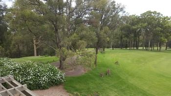 Villa Christian At Cypress Lakes Resort - Lismore Accommodation 25