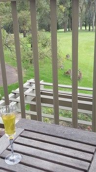 Villa Christian At Cypress Lakes Resort - Lismore Accommodation 31