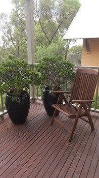 Villa Christian At Cypress Lakes Resort - Lismore Accommodation 32
