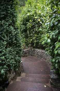 Aquila Nova Retreat - Lismore Accommodation 6