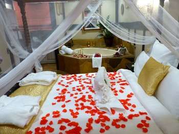 Aquila Nova Retreat - Lismore Accommodation 40