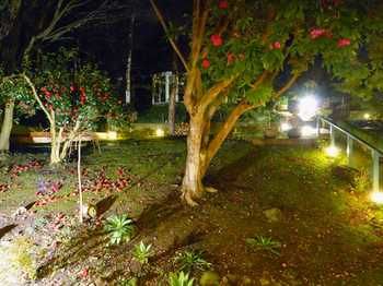 Aquila Nova Retreat - Lismore Accommodation 43