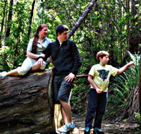 Tahune Airwalk Lodge - Lismore Accommodation