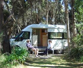 Crayfish Creek Van And Cabin Park And Spa Treehouse - Lismore Accommodation 3