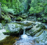 Tarkine Wilderness Experience at Corinna - Lismore Accommodation