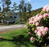 Zeehan Bush Camp  and Caravan Park - Lismore Accommodation