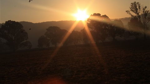 Gentle Annie Caravan And Camping Reserve - Lismore Accommodation 1