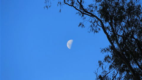 Gentle Annie Caravan And Camping Reserve - Lismore Accommodation 4