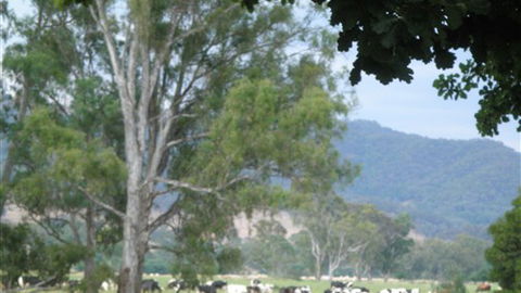 Gentle Annie Caravan And Camping Reserve - Lismore Accommodation 3