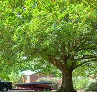 Lakes and Craters Holiday Park - Lismore Accommodation