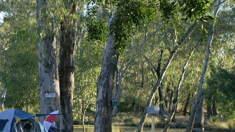 Numurkah Caravan Park - Lismore Accommodation 2