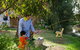 Numurkah Caravan Park - thumb 1