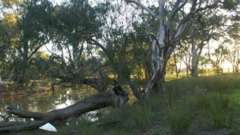 Numurkah Caravan Park - Lismore Accommodation 5