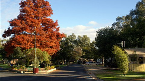 Numurkah Caravan Park - Lismore Accommodation 6
