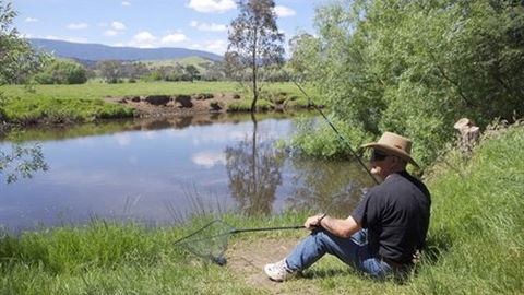 BIG4 Taggerty Holiday Park - Lismore Accommodation 4
