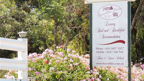 Burrabliss Bed And Breakfast - Lismore Accommodation 6