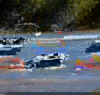 Lake Dyer - Lismore Accommodation