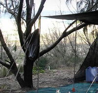 Main Beach Foreshore Camping Grounds - Lismore Accommodation