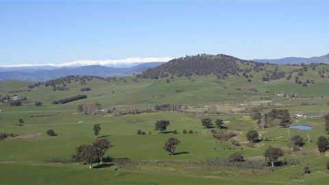 Rancho Relaxo - Lismore Accommodation 0