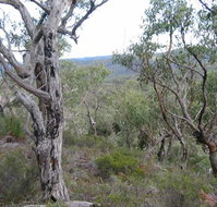 The Glen - Lismore Accommodation