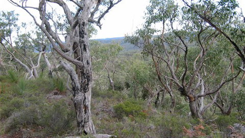 The Glen - Lismore Accommodation 0