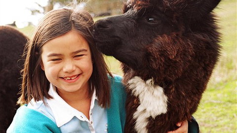 Sabrelyn Park - Lismore Accommodation 1