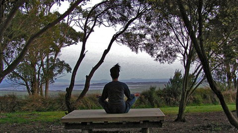 Sabrelyn Park - Lismore Accommodation 4