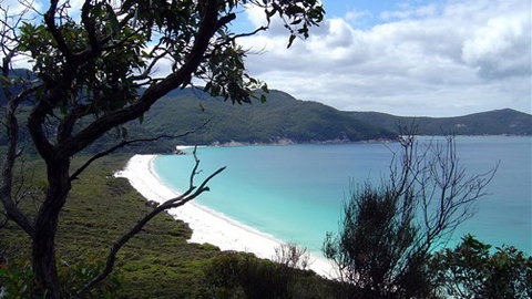 Sabrelyn Park - Lismore Accommodation 6