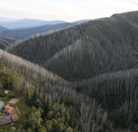 Howmans Gap Alpine Centre YMCA - Lismore Accommodation