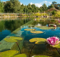 Planetrees Estate  - Lismore Accommodation