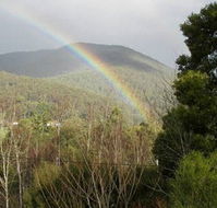 Wattletree Cottage - Lismore Accommodation